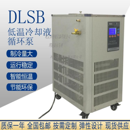 DLSB-100L低溫冷卻液循環(huán)泵